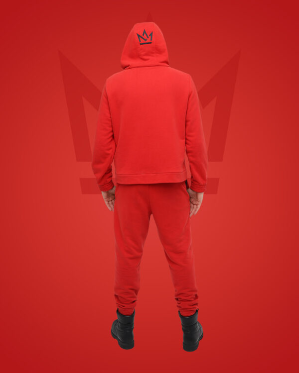 Мужской спортивный костюм "FLIRT" фото