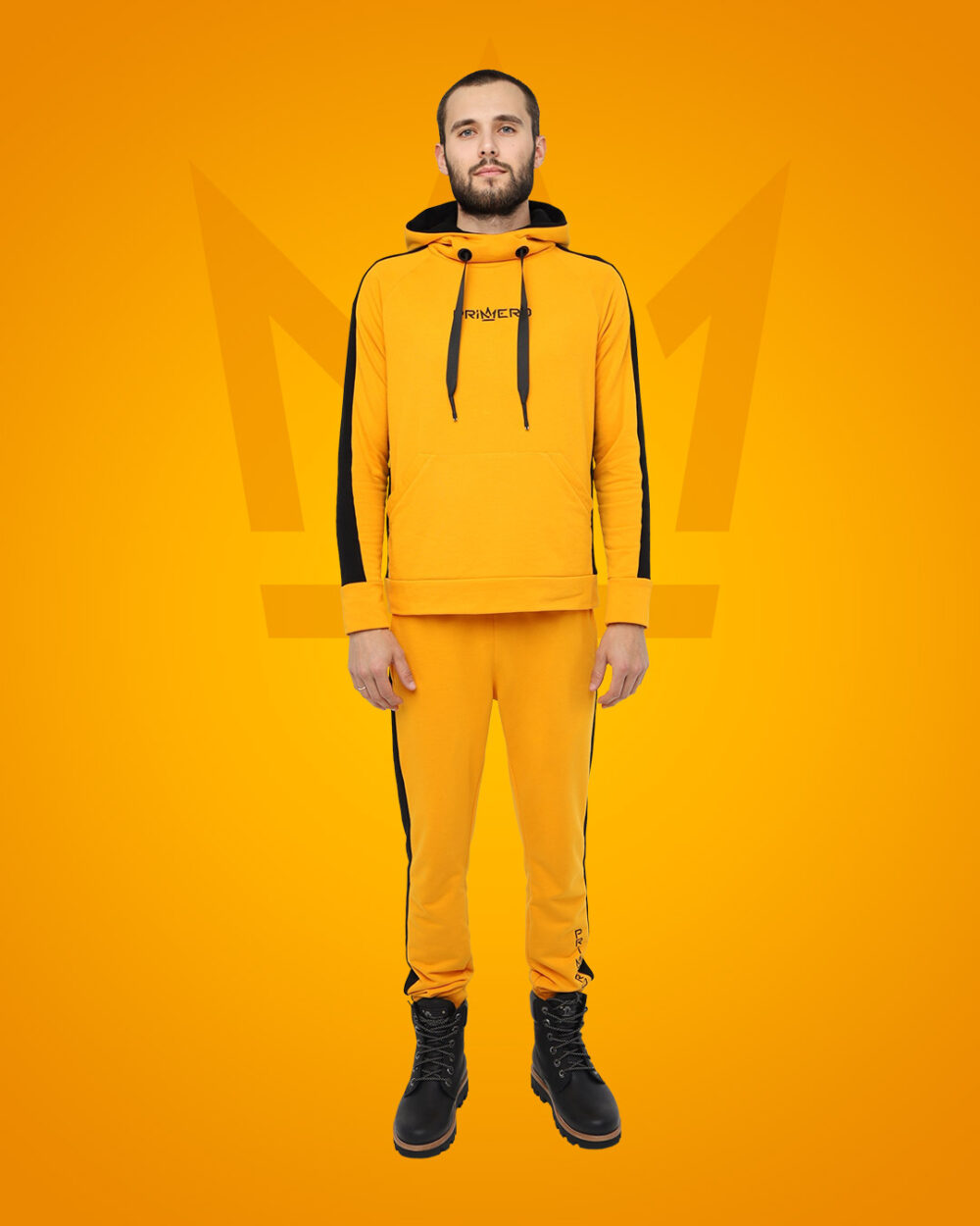 Мужской спортивный костюм с лампасами "LINE" фото